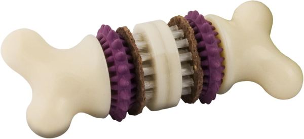 PetSafe Busy Buddy Bristle Bone Dog Treat Holding Chew Toy, Medium
