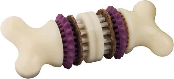 PetSafe Busy Buddy Bristle Bone Dog Treat Holding Chew Toy, Small